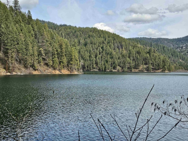 NKA Marshall Lake Rd, Newport, WA 99156 - photo 8