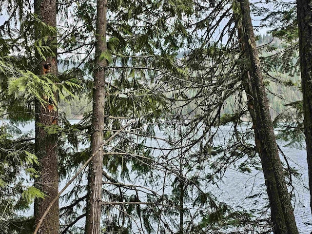 NKA Marshall Lake Rd, Newport, WA 99156 - photo 9