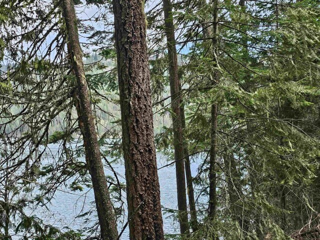 NKA Marshall Lake Rd, Newport, WA 99156 - photo 10