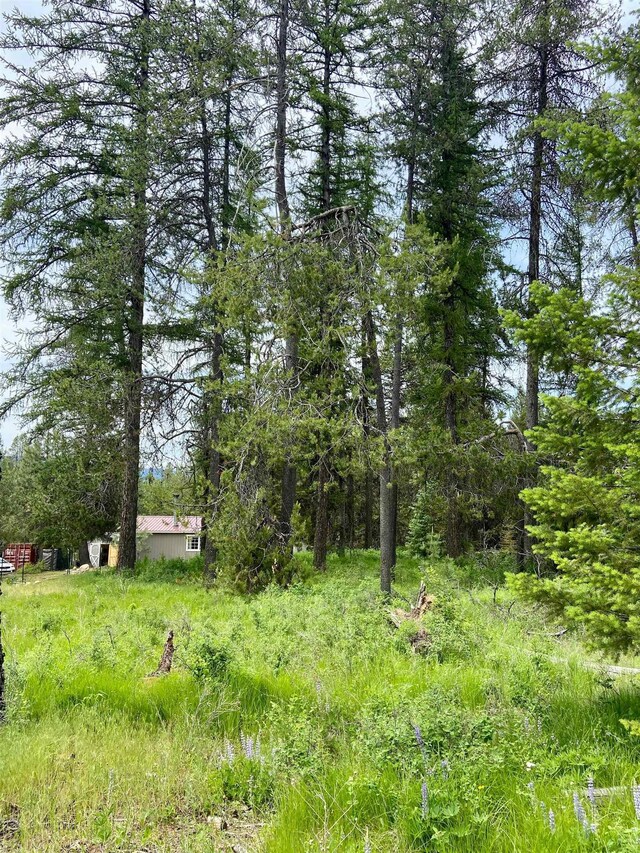 112 Rocky Gorge Rd, Newport, WA 99156 - photo 18