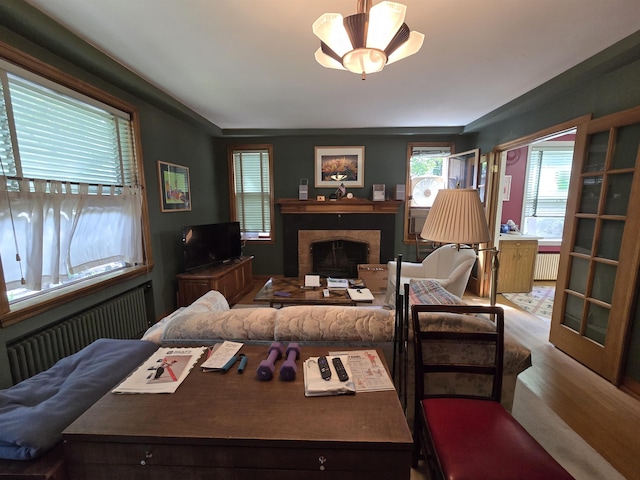 726 W 6th Ave Unit # 205, Spokane, WA 99204 - living area featuring radiator heating unit, a fireplace, and wood finished floors