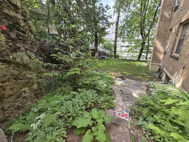 726 W 6th Ave Unit # 205, Spokane, WA 99204 - view of yard