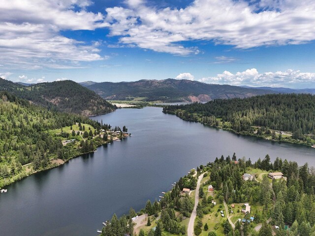26370 S Hinds Dr, Saint Maries, ID 83861 - photo 44