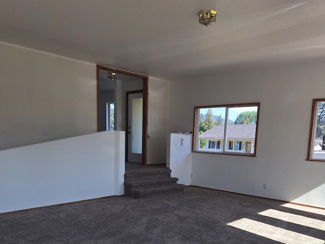 427 W 7th St, Newport, WA 99156 - unfurnished room with carpet flooring