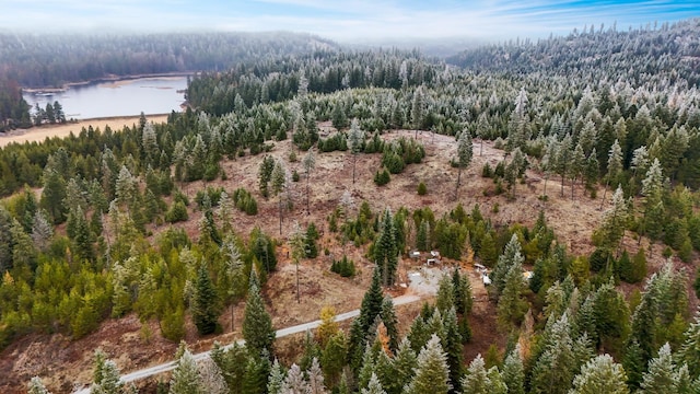 872 Mcgowen Rd, Newport, WA 99156
