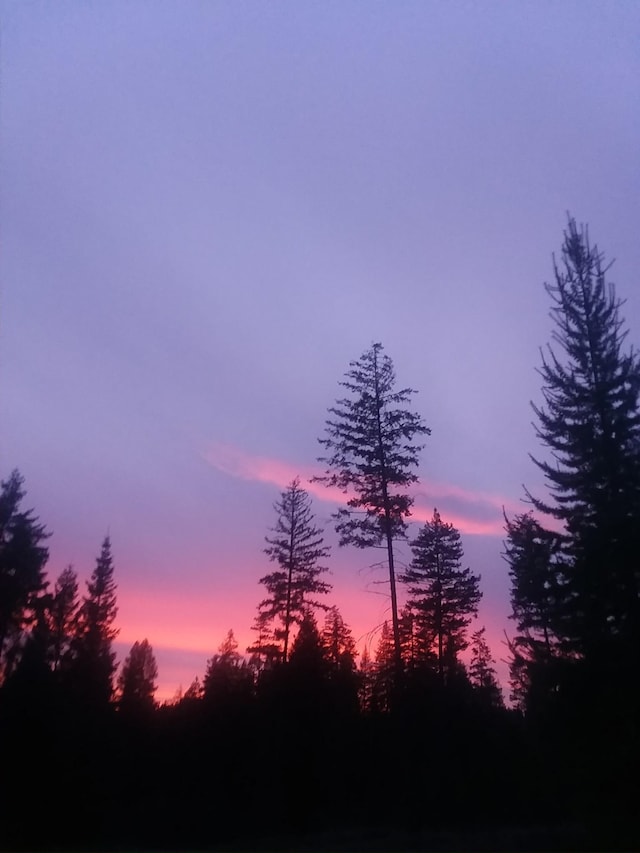 872 Mcgowen Rd, Newport, WA 99156