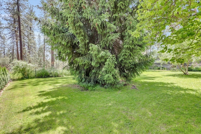 5311 W Shawnee Ave, Spokane, WA 99208 - view of grassy yard