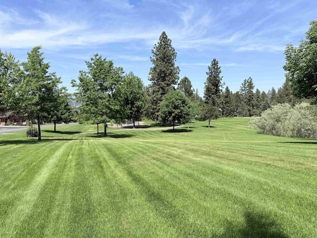 59 S Parkview Ct, Liberty Lake, WA 99019 - photo 34