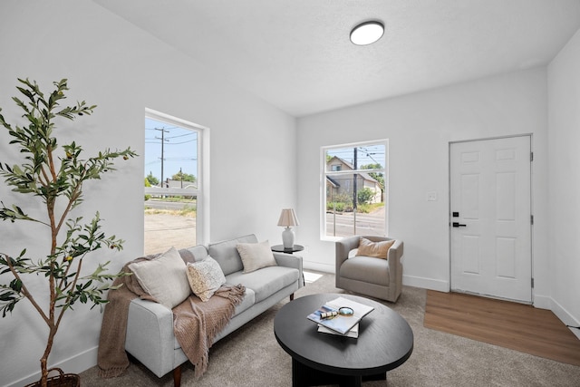 1509 N Maple St, Spokane, WA 99201 - living room with carpet and baseboards
