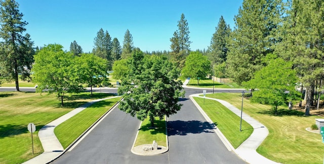 5522 E Cargill Ln, Colbert, WA 99005 - view of community featuring a lawn