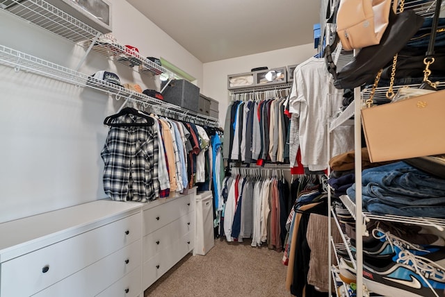 5506 S Southview Ln, Spokane, WA 99223 - walk in closet with carpet