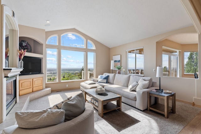 5506 S Southview Ln, Spokane, WA 99223 - living area with healthy amount of natural light, vaulted ceiling, arched walkways, and light wood-style flooring