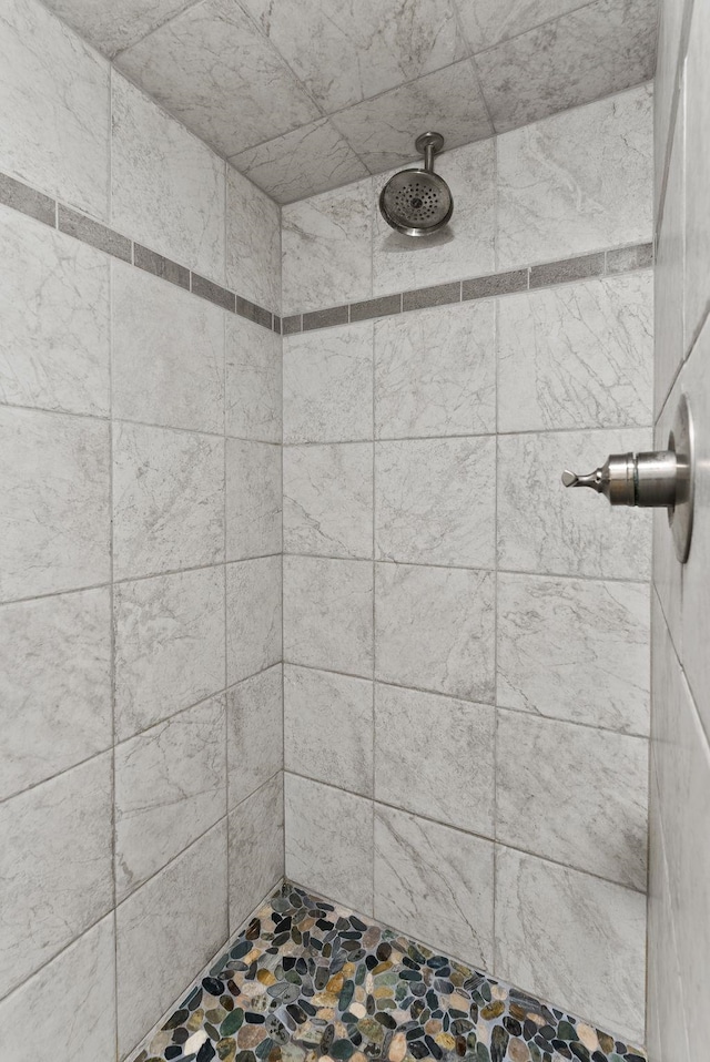 561 E Forest Ave, Colville, WA 99114 - full bath featuring a tile shower and stone finish flooring