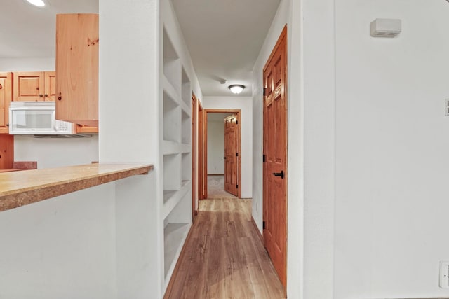 5011B Mason Rd, Clayton, WA 99110 - corridor with light wood finished floors and recessed lighting