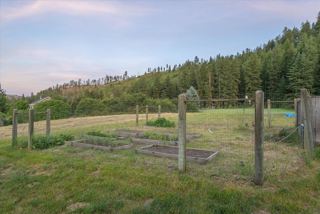 4408 E Spangle Creek Rd, Valleyford, WA 99036 - view of yard with a vegetable garden and a view of trees