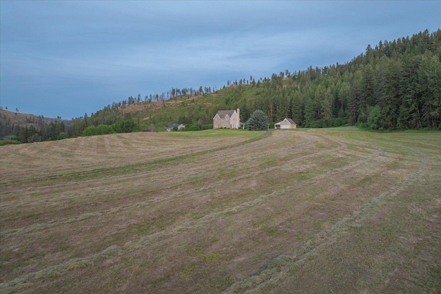 4408 E Spangle Creek Rd, Valleyford, WA 99036 - view of yard featuring a storage shed, a forest view, and a rural view