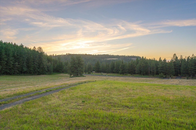 4408 E Spangle Creek Rd, Valleyford, WA 99036 - yard at dusk with a view of countryside, a forest view, and a lawn