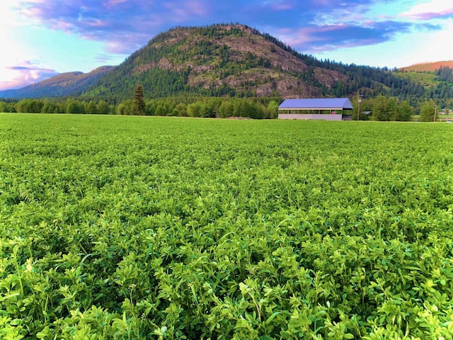 820 Echo Stub Rd, Colville, WA 99114 - view of mountain background featuring a forest