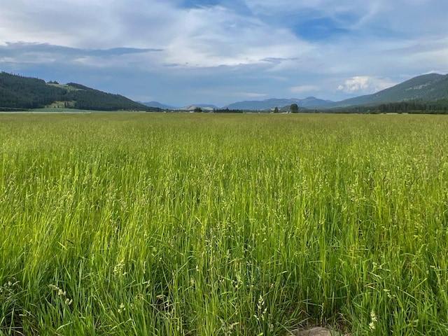 820 Echo Stub Rd, Colville, WA 99114 - view of mountain background featuring rural landscape