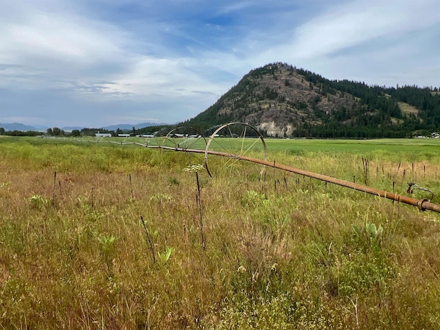 820 Echo Stub Rd, Colville, WA 99114 - view of mountain background with rural landscape