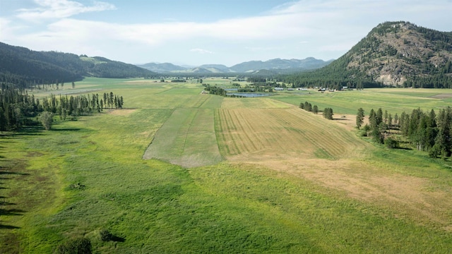 820 Echo Stub Rd, Colville, WA 99114 - view of mountain backdrop with rural landscape