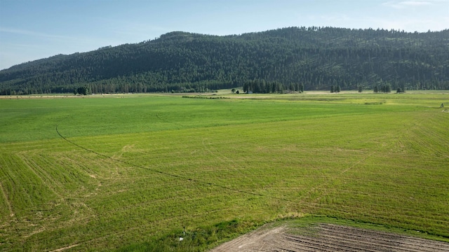 820 Echo Stub Rd, Colville, WA 99114 - view of mountain background with rural landscape and a heavily wooded area
