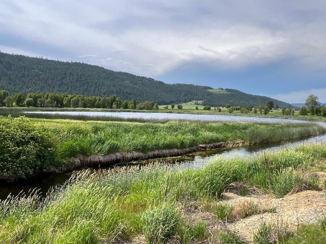 820 Echo Stub Rd, Colville, WA 99114 - mountain view featuring a heavily wooded area