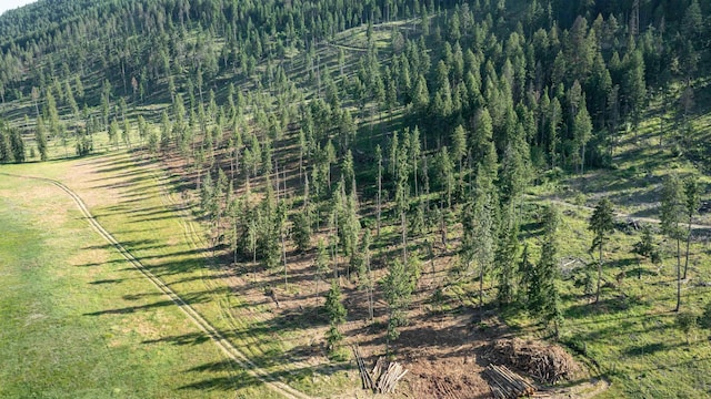 820 Echo Stub Rd, Colville, WA 99114 - view of woods