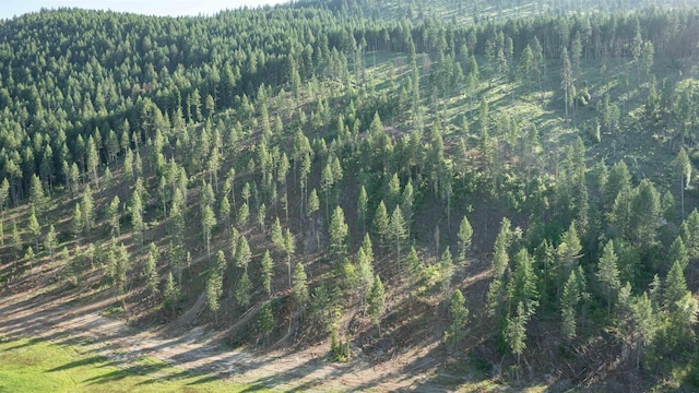 820 Echo Stub Rd, Colville, WA 99114 - view of woods