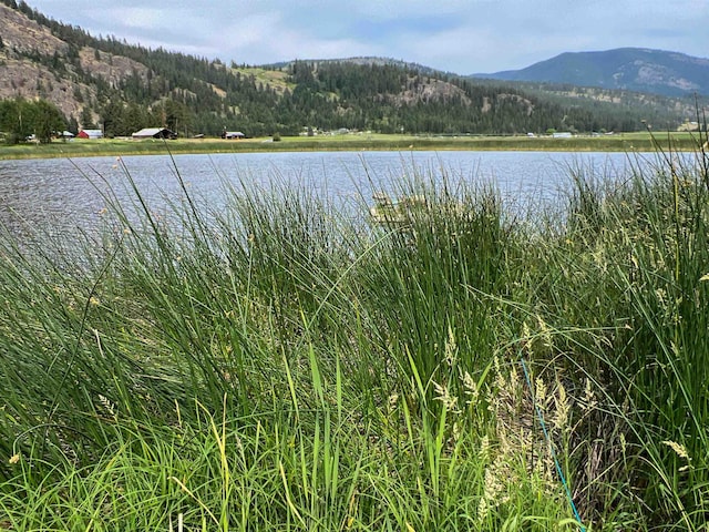 820 Echo Stub Rd, Colville, WA 99114 - water view featuring mountains