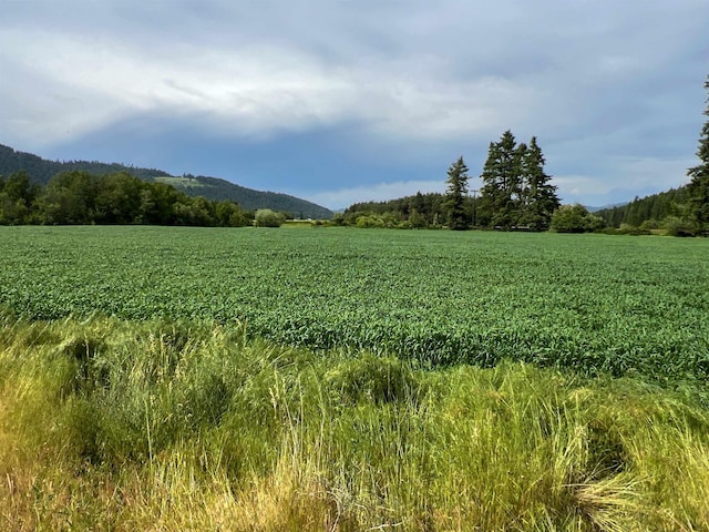 820 Echo Stub Rd, Colville, WA 99114 - view of mountain background with rural landscape