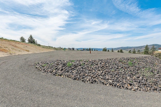 42560 Deer Heights Dr N, Deer Meadows, WA 98122 - photo 19