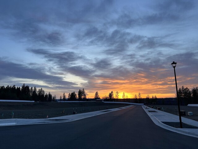 1415 W 67th Avenue Lot 1Block 4 - Talent, Spokane, WA 99224 - view of asphalt road featuring sidewalks and street lighting