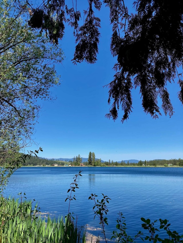 3257 Circle Dr, Valley, WA 99181 - photo 25