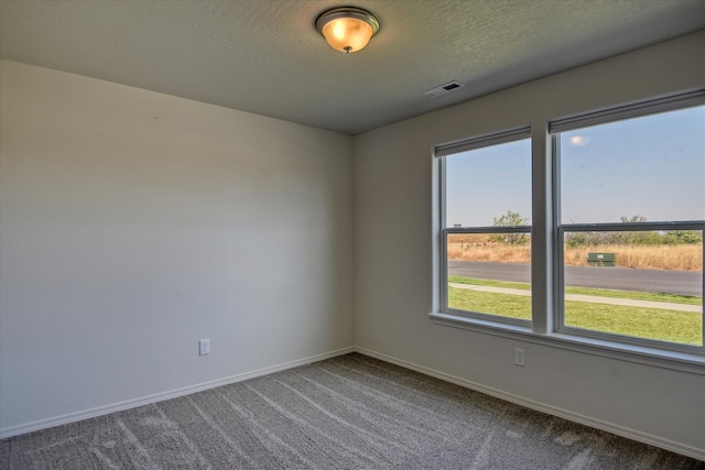 8115 W 57th Ave, Spokane, WA 99224 - carpeted spare room with healthy amount of natural light and a textured ceiling