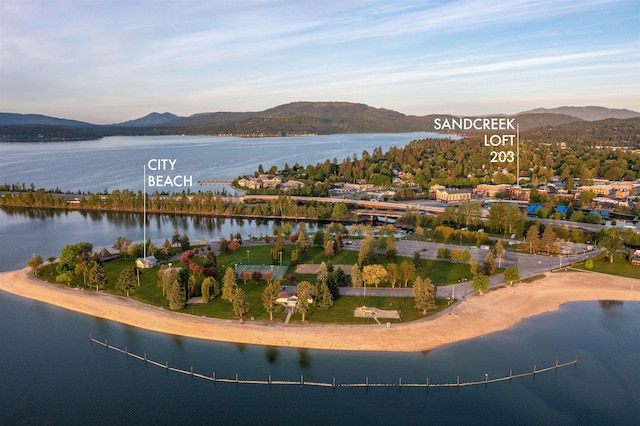 115 E Lake St Unit 203, Sandpoint, ID 83864 - bird's eye view of a water and mountain view