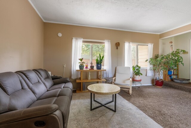 534 E Regina Ave, Spokane, WA 99218 - photo 8