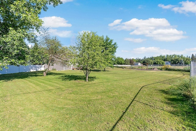 14706 N Mckinnon Ct, Mead, WA 99021 - view of yard