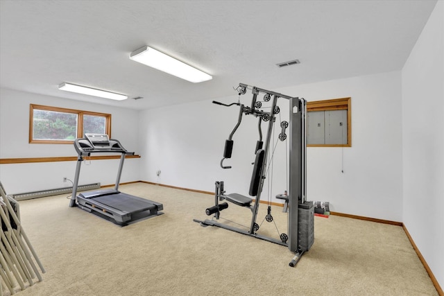 5215 S Conklin Rd, Greenacres, WA 99016 - photo 22