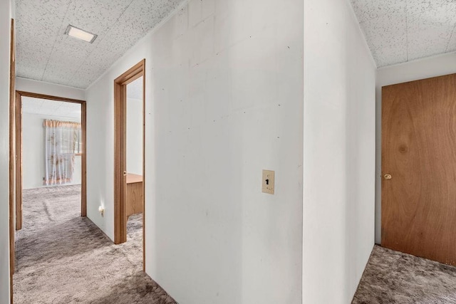 2920 N Regal St, Spokane, WA 99207 - corridor with carpet and a drop ceiling
