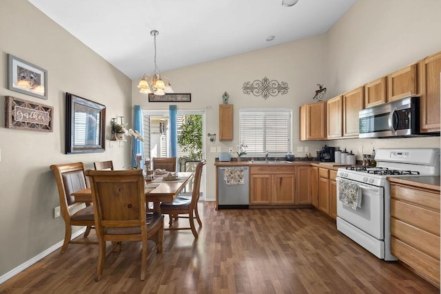 8910 N Oak St, Spokane, WA 99208 - kitchen with appliances with stainless steel finishes, dark wood-style floors, a chandelier, high vaulted ceiling, and hanging light fixtures