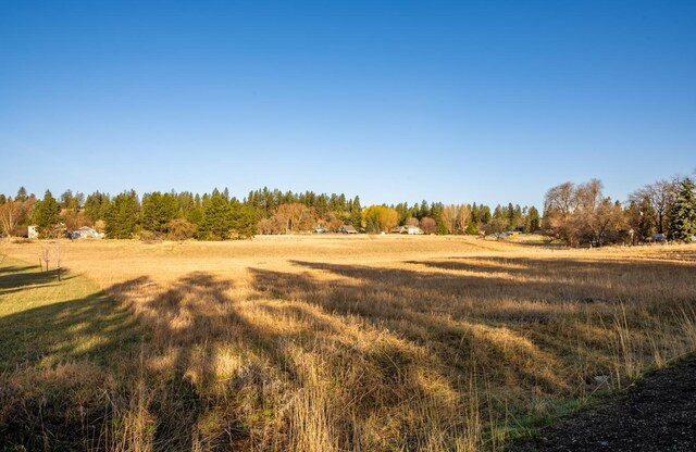 2310 S Glenrose Rd, Spokane, WA 99223 - photo 6