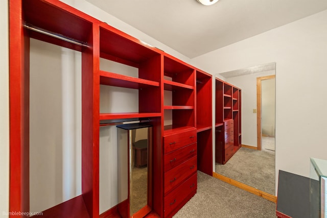 32261 N Leclerc Rd, Ione, WA 99139 - walk in closet featuring carpet floors