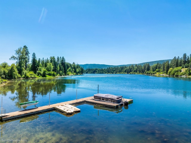 32261 N Leclerc Rd, Ione, WA 99139 - dock area with a water view and a wooded view