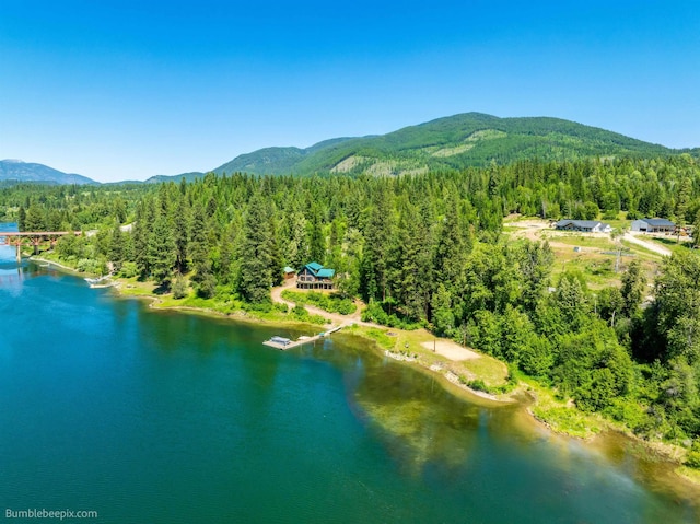 32261 N Leclerc Rd, Ione, WA 99139 - drone / aerial view of a heavily wooded area and a water and mountain view