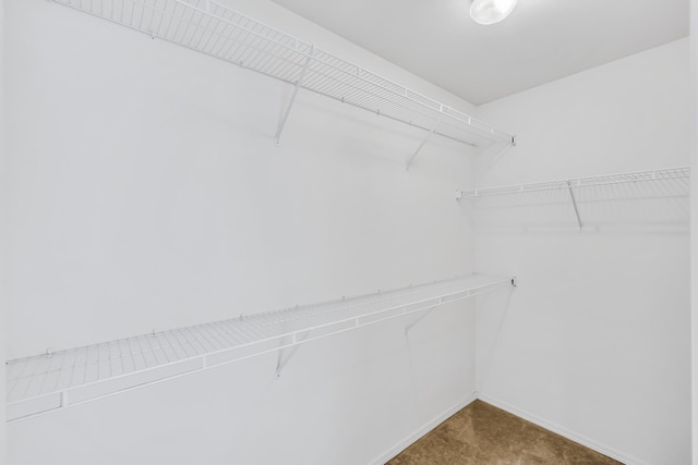 5019 W W Prosperity Ln, Spokane, WA 99208 - view of walk in closet
