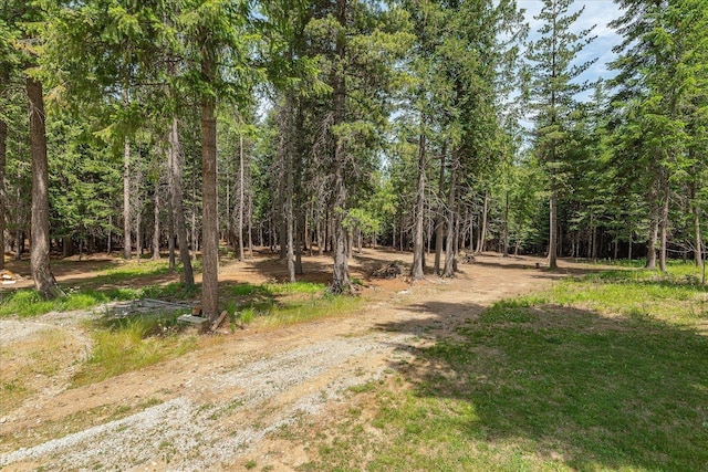 31 Wildwood Ln, Newport, WA 99156 - photo 44