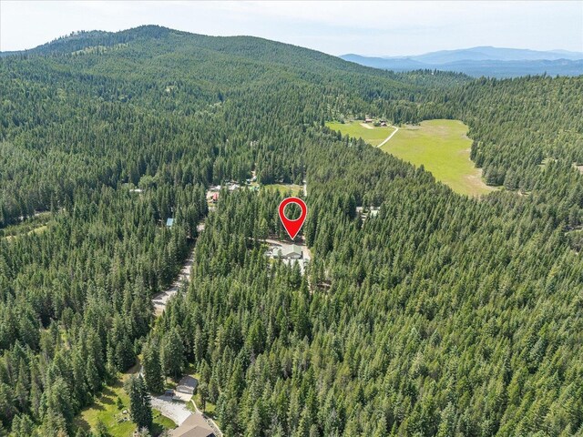 31 Wildwood Ln, Newport, WA 99156 - photo 49
