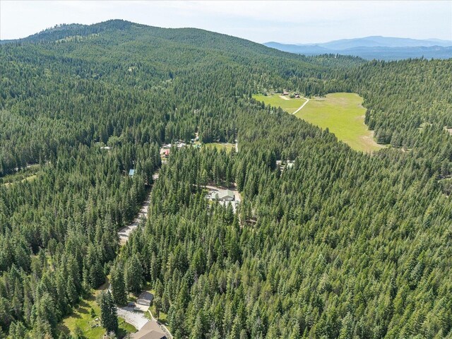 31 Wildwood Ln, Newport, WA 99156 - photo 50