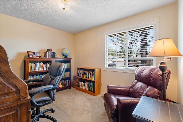 11905 N Atlantic St, Spokane, WA 99218 - office featuring carpet and a textured ceiling
